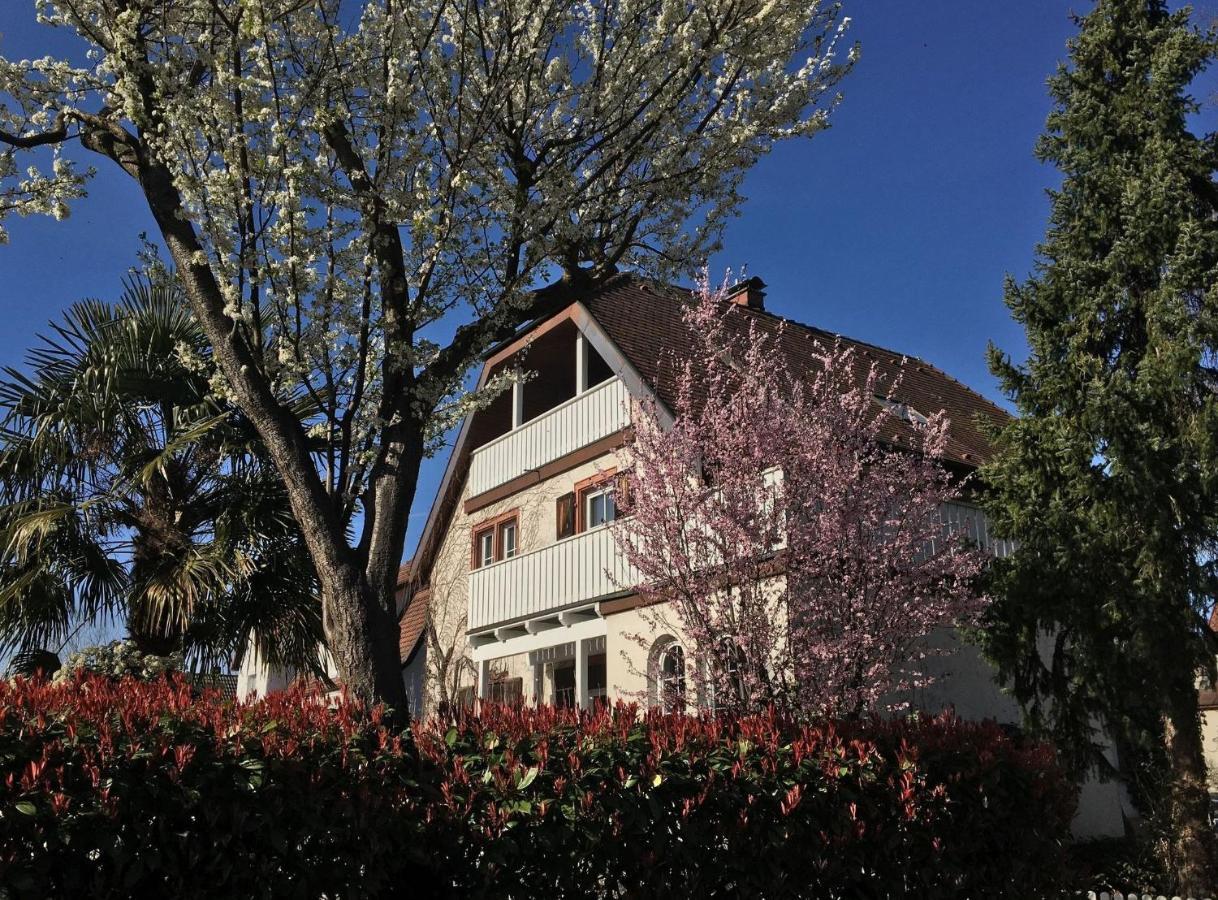 Ferienwohnung Dashaus Rheinfelden  Exteriör bild