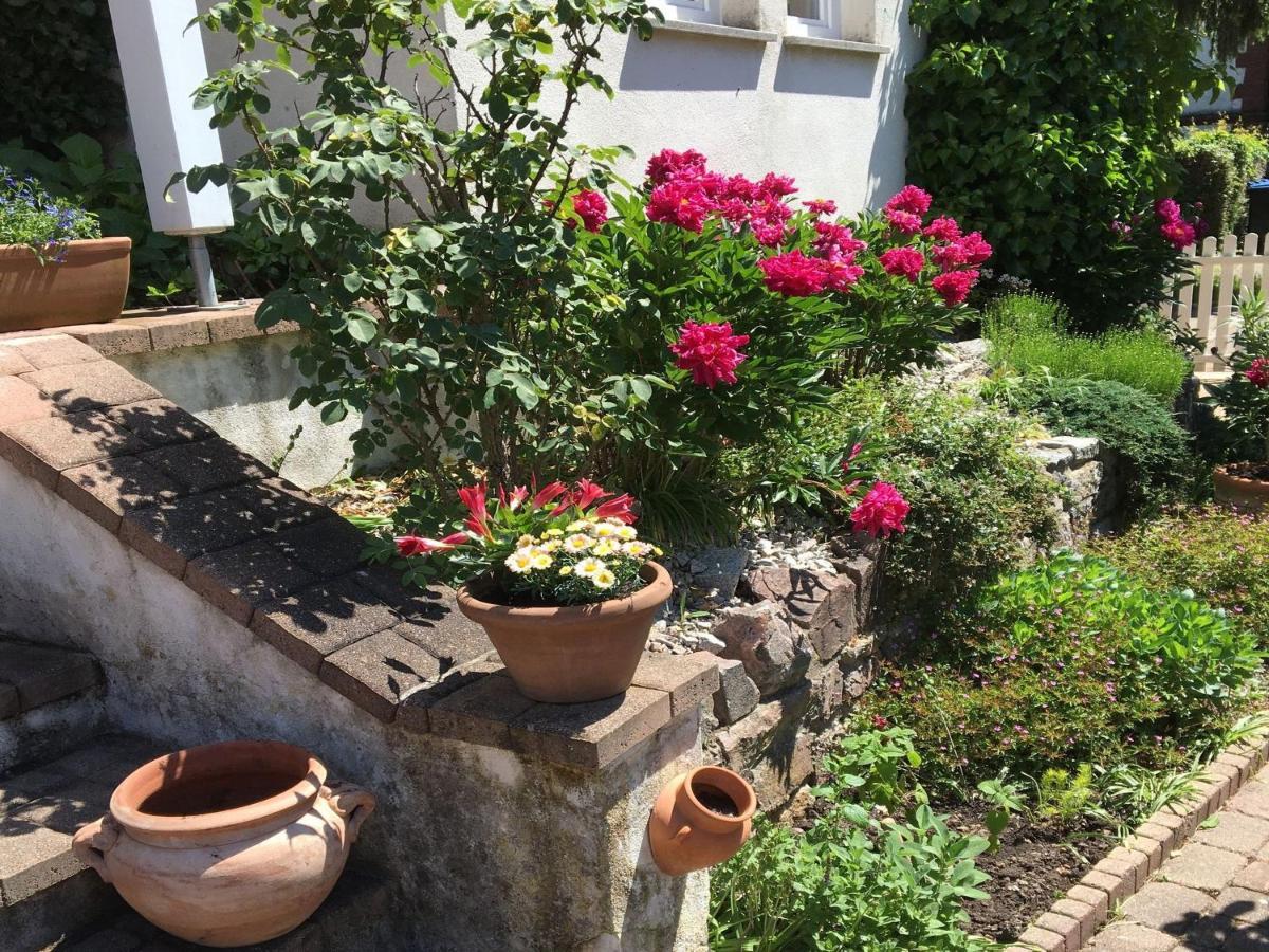 Ferienwohnung Dashaus Rheinfelden  Exteriör bild